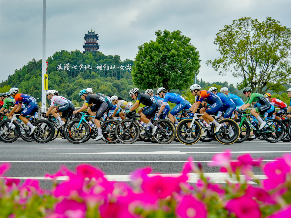 jBIoA, src jBIoA, src