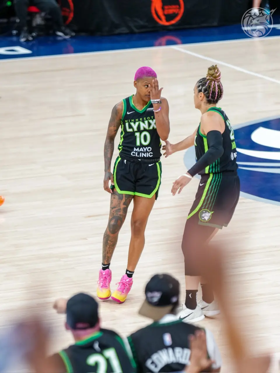 首节山猫取, entit